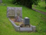 image of grave number 919854